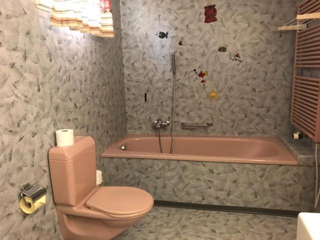 Hotel Alpina Unterwasser Zewnętrze zdjęcie