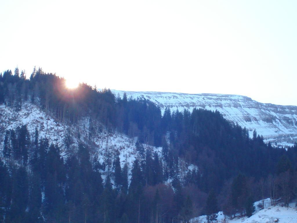 Hotel Alpina Unterwasser Zewnętrze zdjęcie
