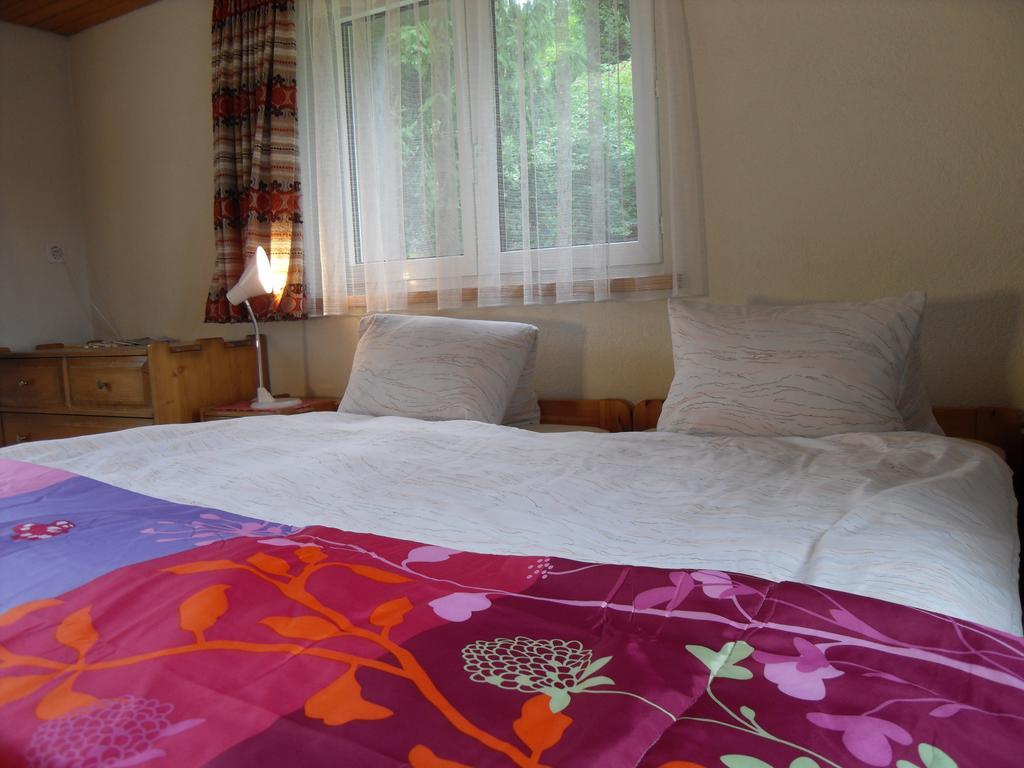 Hotel Alpina Unterwasser Zewnętrze zdjęcie